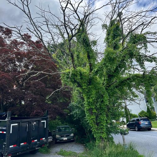 WhatsApp Image 2025-05-23 at 10.25.18 AM (1)